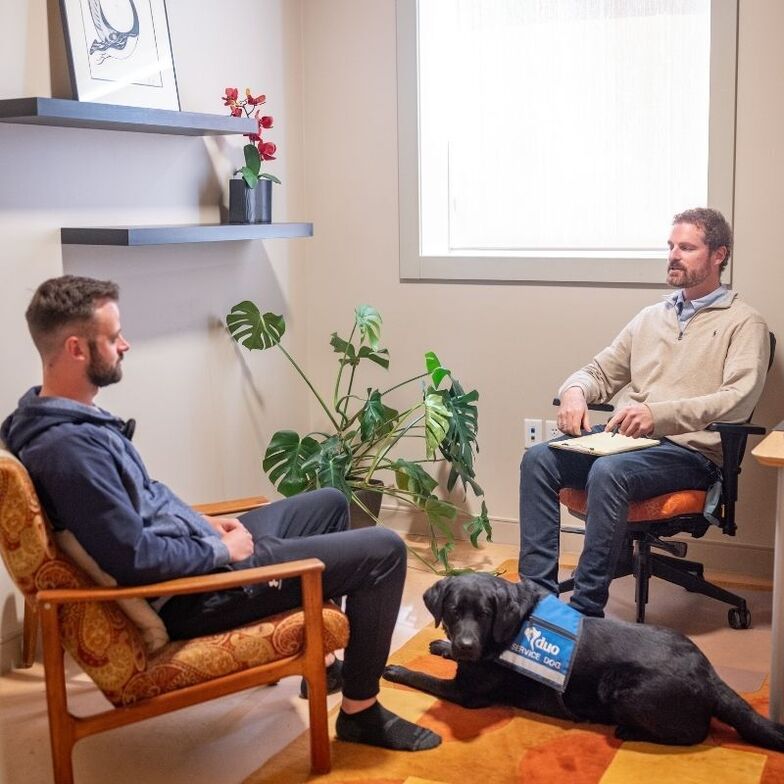 Counselling services in Pembroke